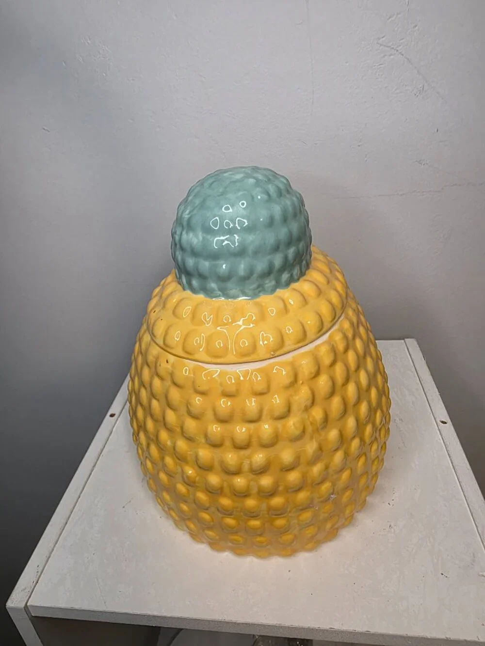Pier 1 Hedgehog Momma and Baby Cookie Jar Flower Whimiscal